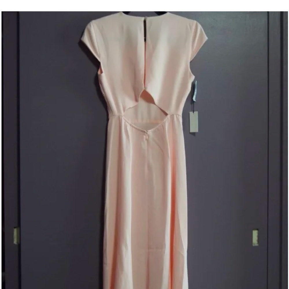 Aritzia Babaton Hampton Midi Dress, size10, in Fresno pink - Picture 5 of 7
